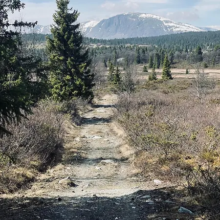 No71 Villaer Golsfjellet
