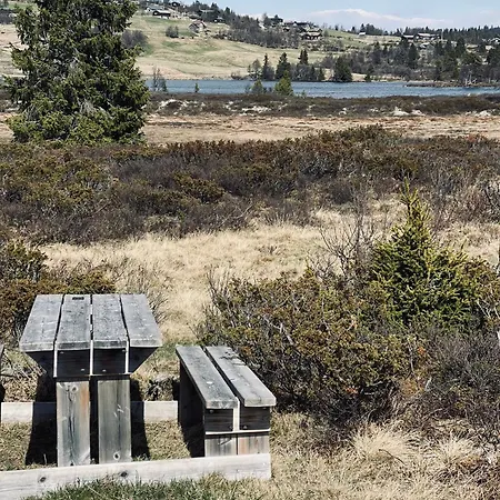 וילה No71 Golsfjellet