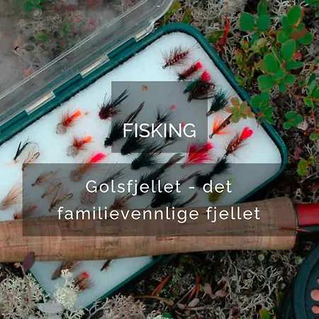 No71 וילה Golsfjellet